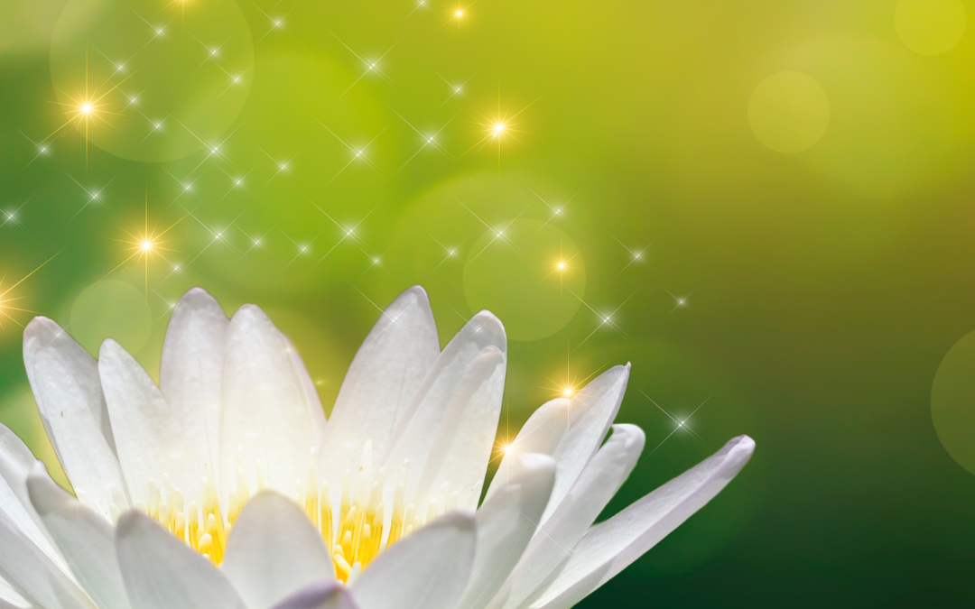 Iniciações Reiki Nivel 1 – 10 e 17 de Abril 2023