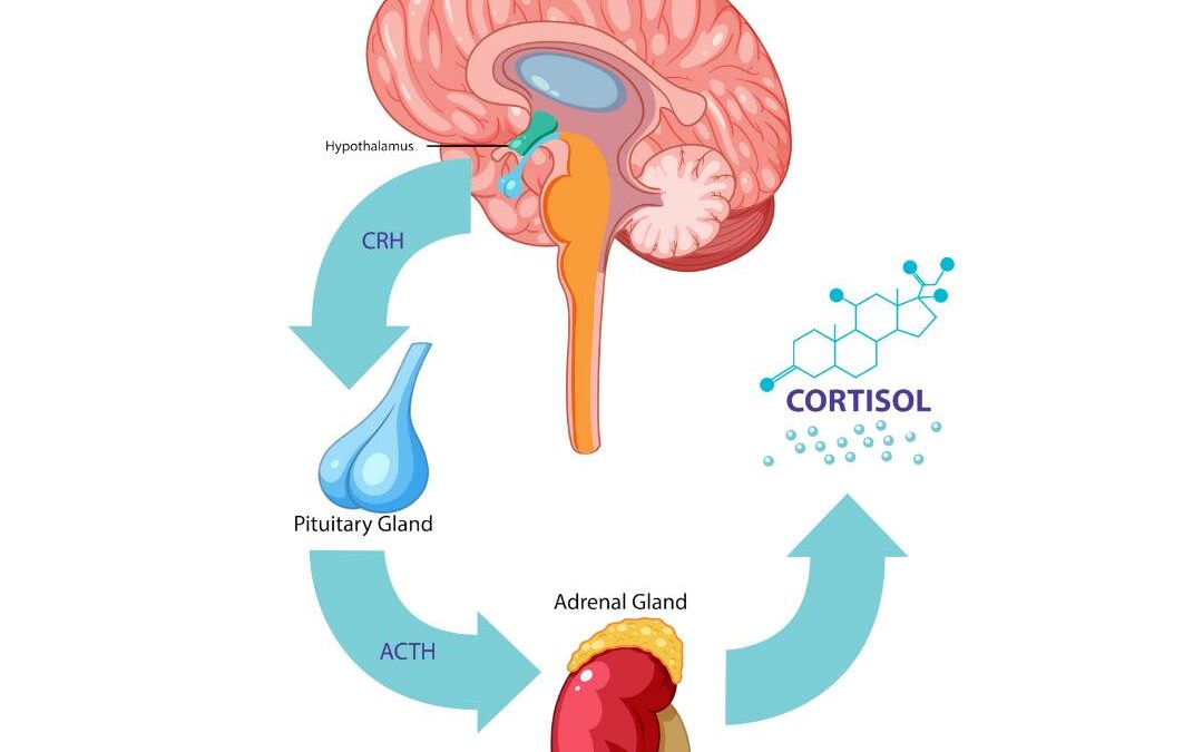 Cortisol existencial